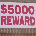 $5,000 reward!