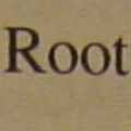 i am the root! all hail me!